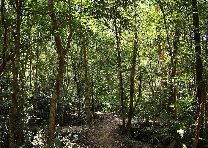 Apartment Beautiful House In The Heart Of The Jungle - Ya'axnik