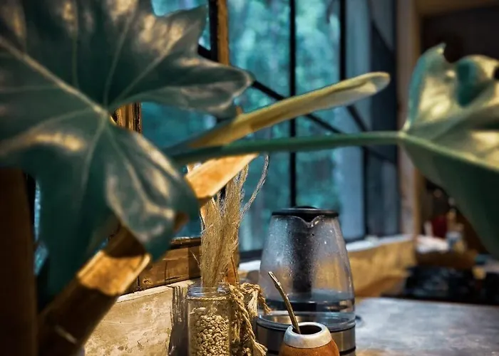 Beautiful House In The Heart Of The Jungle - Ya'axnik Apartment Tulum